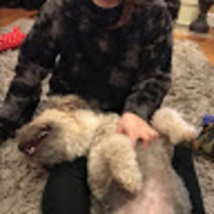 Meet your Posher, Tara